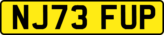 NJ73FUP