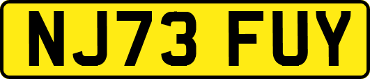 NJ73FUY