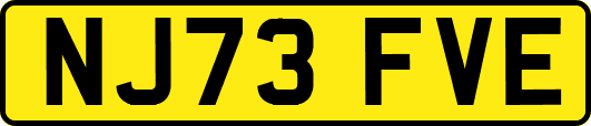 NJ73FVE