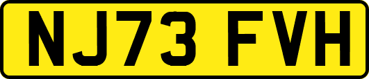 NJ73FVH