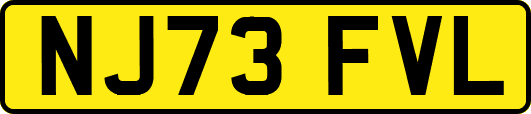 NJ73FVL