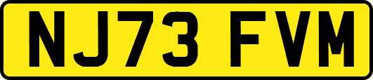 NJ73FVM