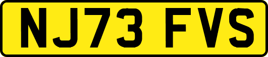 NJ73FVS