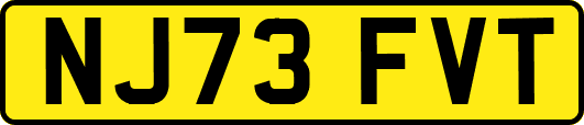 NJ73FVT