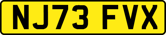 NJ73FVX