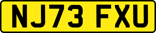 NJ73FXU
