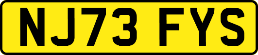 NJ73FYS