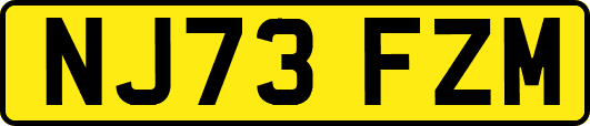 NJ73FZM