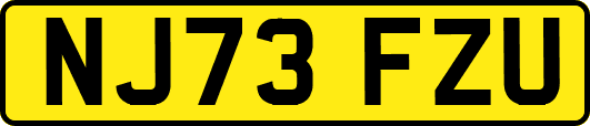NJ73FZU