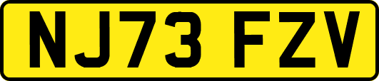 NJ73FZV