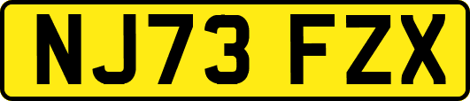 NJ73FZX