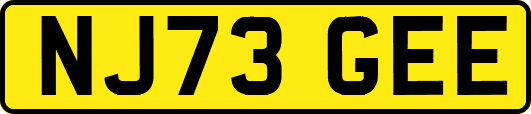 NJ73GEE