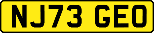 NJ73GEO