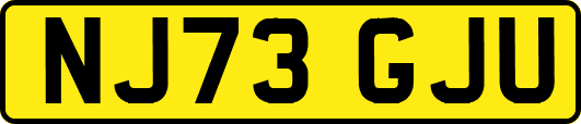 NJ73GJU