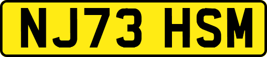 NJ73HSM