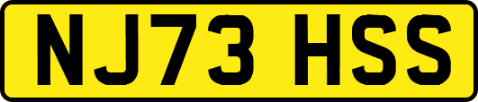 NJ73HSS