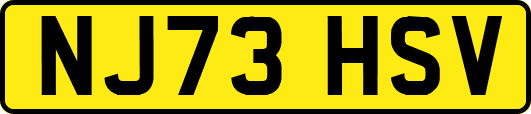 NJ73HSV