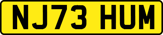 NJ73HUM