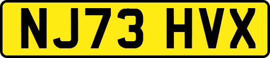 NJ73HVX