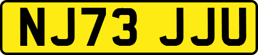 NJ73JJU