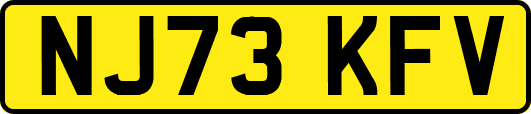 NJ73KFV