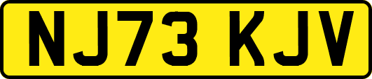 NJ73KJV