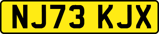 NJ73KJX