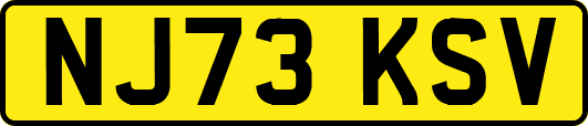NJ73KSV