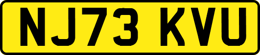 NJ73KVU
