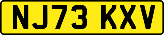 NJ73KXV