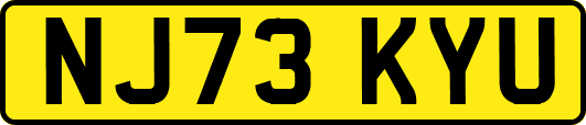 NJ73KYU