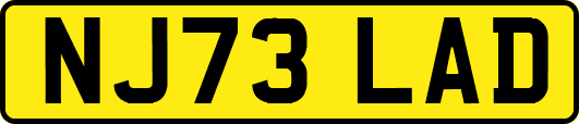 NJ73LAD