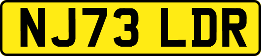 NJ73LDR