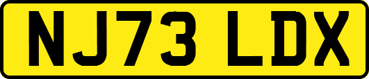 NJ73LDX