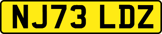 NJ73LDZ