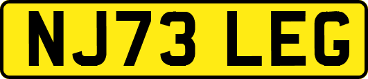 NJ73LEG