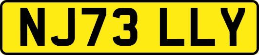 NJ73LLY