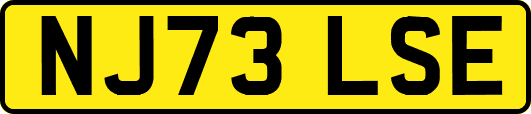 NJ73LSE