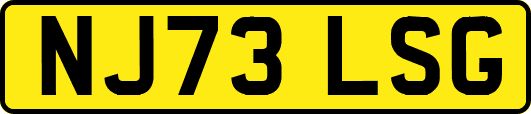 NJ73LSG