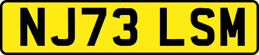 NJ73LSM