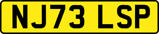 NJ73LSP