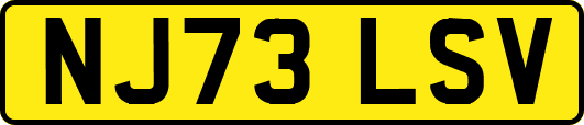NJ73LSV