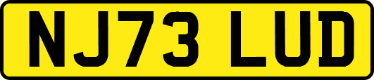 NJ73LUD