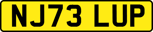 NJ73LUP