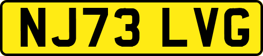 NJ73LVG