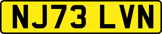 NJ73LVN