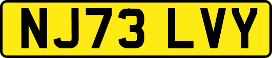 NJ73LVY