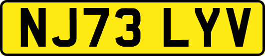 NJ73LYV