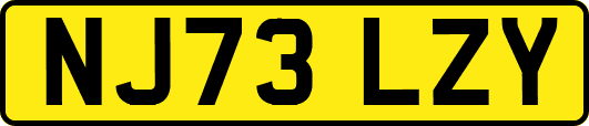 NJ73LZY