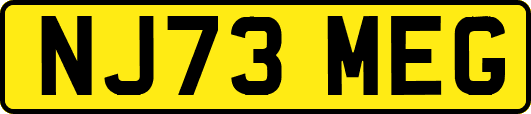 NJ73MEG